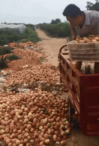 友善|搞笑gif动图：只有戴眼镜的同学才理解的痛..