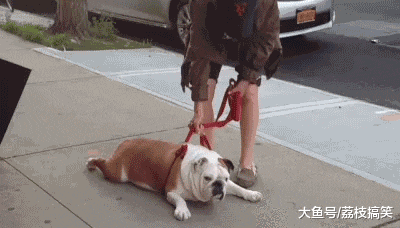 婚礼|搞笑GIF：办婚礼用了5天，主要费在找婚鞋上了