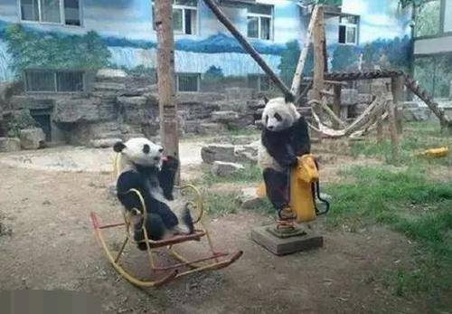 大娘|搞笑GIF：这大娘脸皮也太厚了吧，咋的不撞你都不行呀！