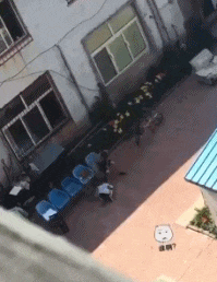 老板|搞笑GIF趣图：?新来的妹子很勤快又能干，难怪老板提拔她当秘书