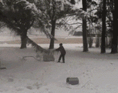 师父|谁还没有点小脾气小情绪啊