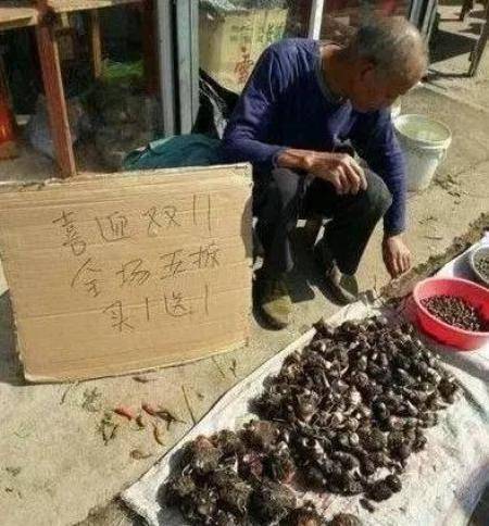 哪吒|搞笑GIF:新买的IPhoneX已经到手