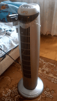 媳妇|小盆友的眼神，把孩子扔给我，你们想去干嘛