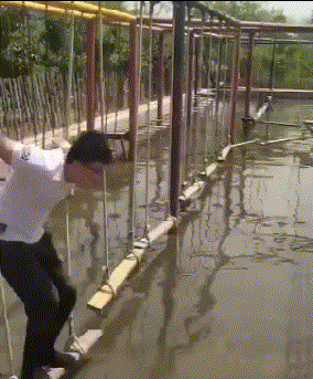 按摩|GIF搞笑趣图:你以为真是给你按摩的?其实是坑你的!真天真!