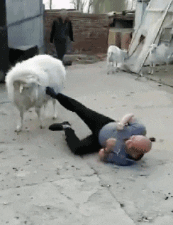 刷子|搞笑GIF: 看妹子这姿势, 看来没两把刷子还真干不了摄影呀!