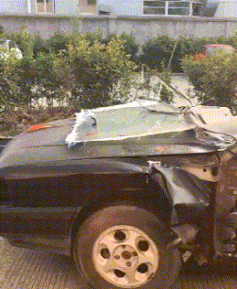 学习|搞笑GIF:不是说追着玩嘛!去哪里了?藏起来了?