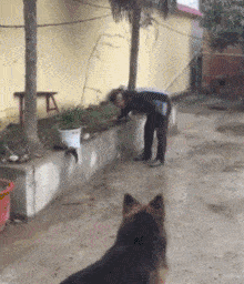 厕所|搞笑GIF动图：终于完成了我小时候想最想观察的结果之一