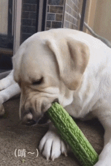 洒水车|搞笑GIF:这漂移,很专业啊!