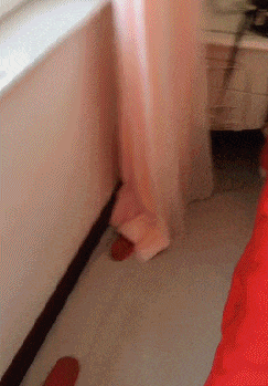 当年|爆笑GIF: 当年我也这样切菜的，现在就剩下一只手