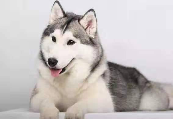 大夫|开心一刻笑话：突然，娃在下坡时，摔倒了，然后马上爬起来