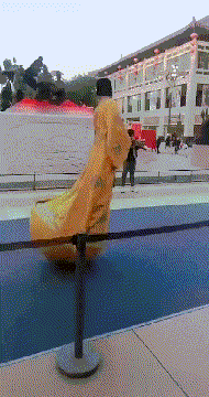 文艺表演|搞笑GIF图：本以为去吃酒席，没想到是大型文艺表演！