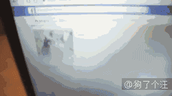 直言|女主人,把你玩具收好行不行啊啊啊