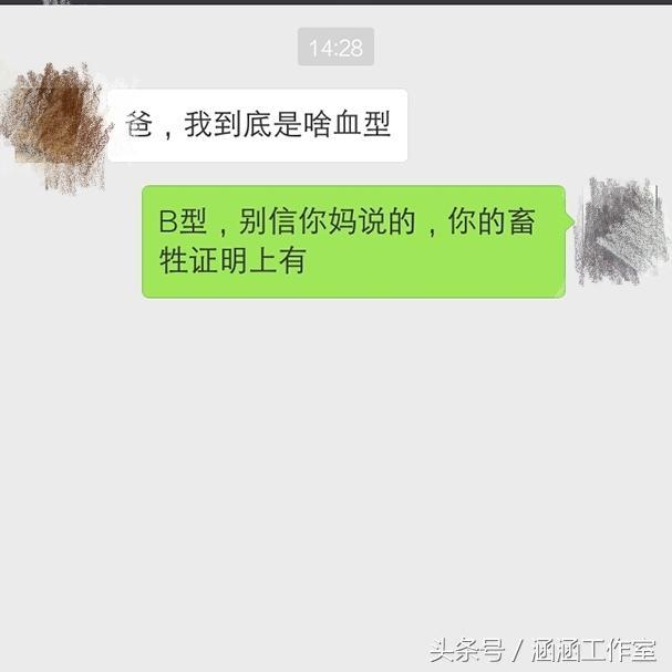 爸爸|美女聊天打错字，笑疯的节奏