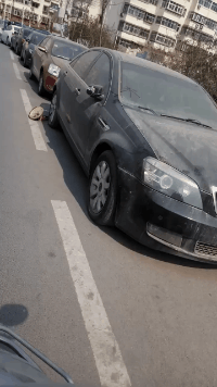 耙子|搞笑GIF图：目测腰间盘突出，调治仅需一日就好！