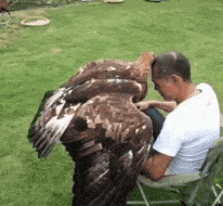 队友|搞笑gif: 终于知道他为啥秃顶了