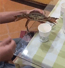 面膜|搞笑GIF：家里有矿啊，这样用面膜简直太浪费了