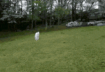 对象|GIF搞笑趣图:你以为你有对象了啊!还是想想吧!