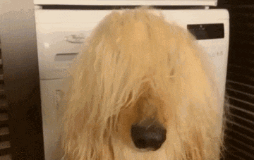 妹子|搞笑GIF：男人的快乐真的很简单