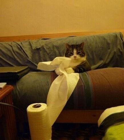 李逵|段子:敢骂我母老虎,那就看我不咬死你!