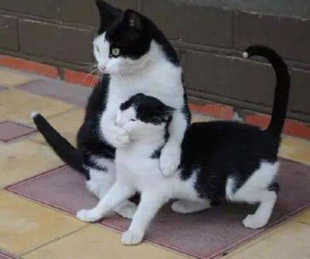 妹子|搞笑GIF：妹子，你到底是遭遇了什么才会让你的牛仔裤变成这样啊。