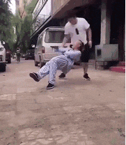 惊喜|搞笑GIF：这样的狗子我不敢养，我怕它说我笨！