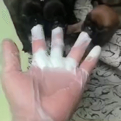 回事|搞笑大合集，这书一直冒气是怎么回事呢