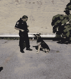 难以想象|现在的姑娘对电视剧的痴迷程度真是难以想象