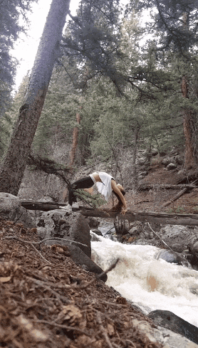 妹子|大哥, 看到你翻车了, 我就放心了, 让你皮