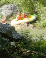 妹子|搞笑GIF：太快了！