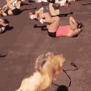 后羿|搞笑段子：我给婆婆买了个跑马灯的手机，没想到公公也想要一个