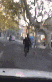 爱卿|搞笑GIF: 他曾经是这条街的王者，后来有人报警了