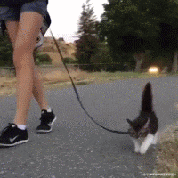 新垣|搞笑GIF：周末在家姿势——新垣躺