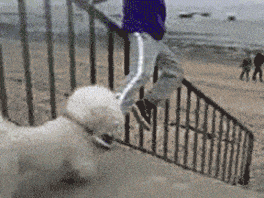 丰衣足食|?不让我吃,我自己下手丰衣足食!