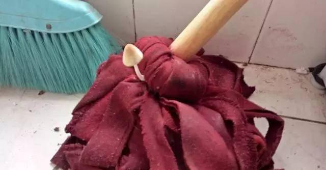 儿子|一个人能自娱自乐到这种地步也是个奇葩中的战斗机