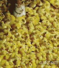 就是|爆笑一天,人家就是喜欢亲亲抱抱举高高 ,好妖娆的开球姿势