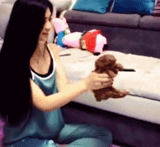 替身|搞笑GIF：我看到小骨的替身了。