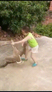 似的|搞笑GIF:就好像谁没有宠物似的!