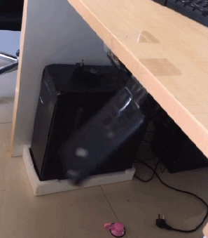 土豪|搞笑GIF趣图：这个宠物养大需要几十万，人们还都抢着养