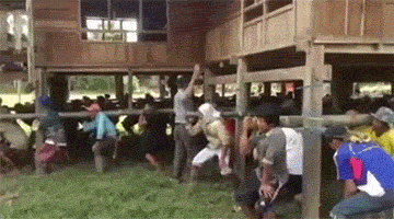 这是|搞笑GIF趣图：姑娘真的好有个性，你喜欢她哪一面啊