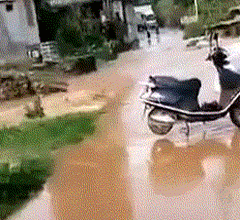 虚胖|搞笑GIF：这质量也太差了吧