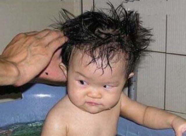 车主|不知道这俩货做了什么,车主如此残忍的把它们游街示众!