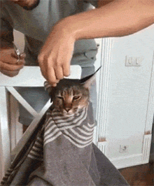 就是|搞笑gif趣图:哥们,你装的挺像的呀,应该不痛吧!