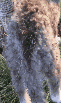 积尘|搞笑GIF:昨晚跟一哥们一起出去喝酒，喝到一半说，老