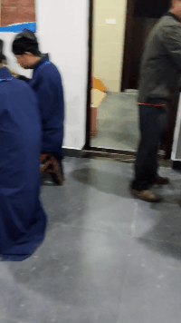 这是|搞笑GIF:这是什么神兽?