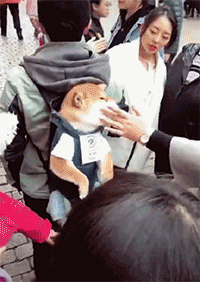 连贯|搞笑GIF: 你俩动作流畅连贯一气呵成, 然后剩下的就是搞笑了