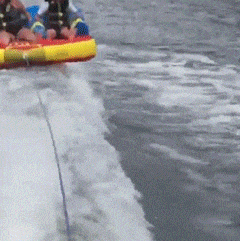 小舅子|搞笑GIF动图：我真的不想亲你，为什么要强求我啊！