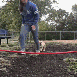 姑娘|搞笑GIF: 姑娘，你这车也实在是太小了吧