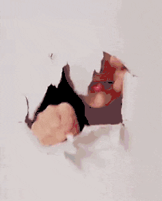 瓜子脸|搞笑GIF:确实是瓜子脸啊,西瓜子也是瓜子啊~