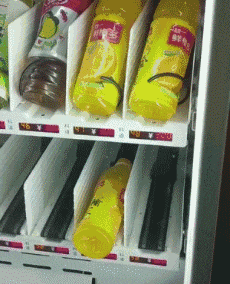 暴殄天物|搞笑gif趣图：大兄弟你就不为所动吗？真是暴殄天物！