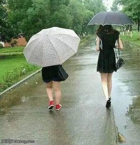 姑娘|爆笑趣图系列(十)姑娘还是嫁给我吧,你这样不会幸福的